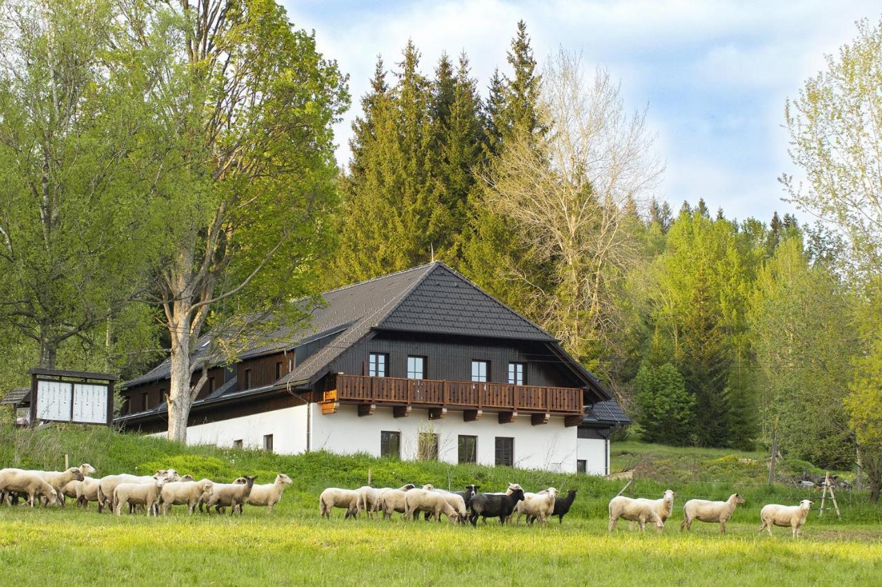 Hotel Dvůr Lískový vrch Strazny Exterior foto
