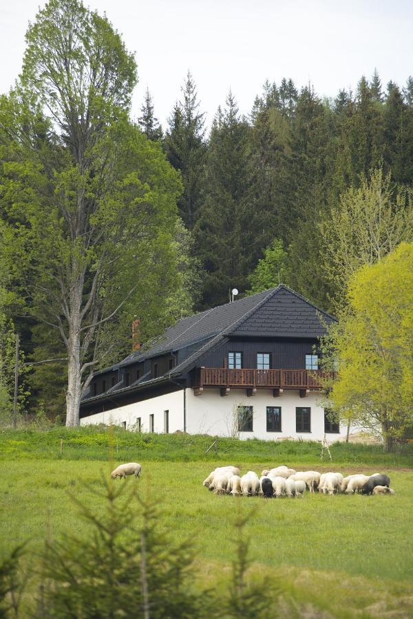 Hotel Dvůr Lískový vrch Strazny Exterior foto